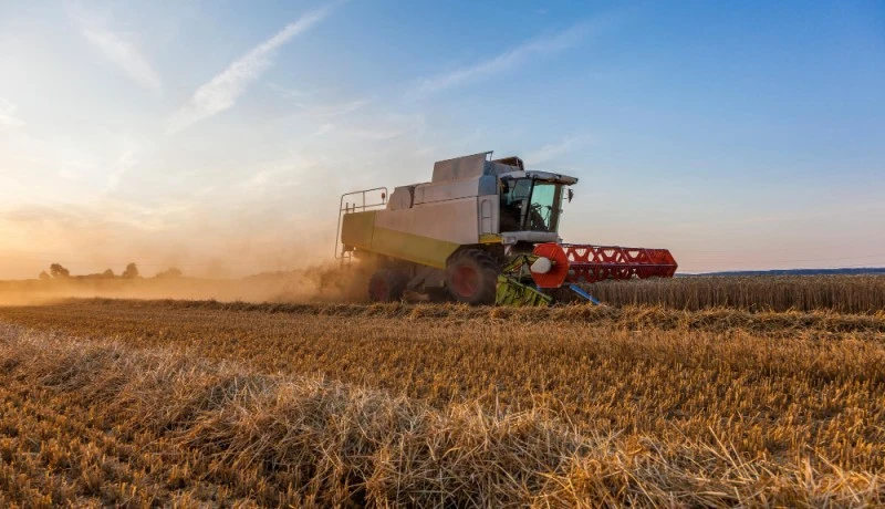 Como evitar prejuízos na safra com manutenção preventiva de transbordos agrícolas